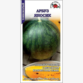 Арбуз Яносик /Сотка/ 1 г / сред/ран./ 1 г