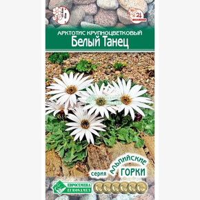 Арктотис БЕЛЫЙ ТАНЕЦ 10 шт/ Евросемена