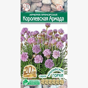 Армерия Армада 5шт/ Евросемена