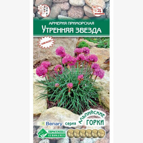 Армерия УТРЕННЯЯ ЗВЕЗДА (5 шт)/ Евросемена