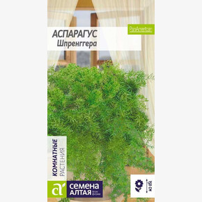 Аспарагус Шпренггера/Сем Алт/цп 5 шт.