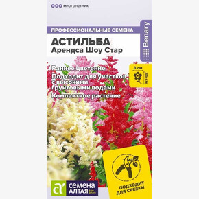 Астильба Арендса Шоу Стар/Семена Алтая/цп 3 шт.