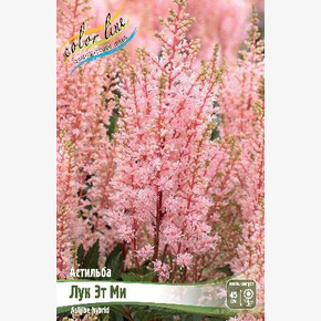 АСТИЛЬБА ЛУК ЭТ МИ