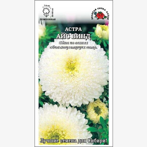 Астра Айс Винд/ Сотка