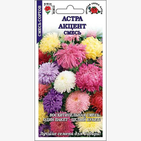 Астра Акцент смесь сортов /Сотка/ 0,3 г 60-80см, 6-10см