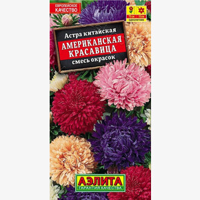 астра Американская красавица смесь АЭЛИТА