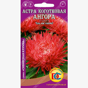 Астра Ангора/ Деметра