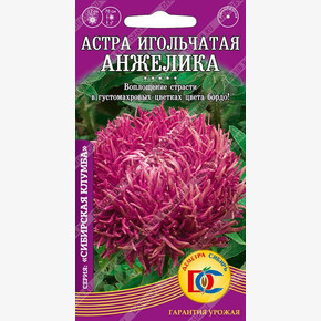 Астра Анжелика игольчатая /0,2 гр Деметра/