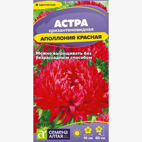 Астра Аполлония Красная/ Семена Алтая 0,2 гр.