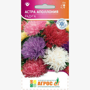 Астра Аполлония Радуга 0.3г/ Агрос