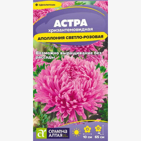 Астра Аполлония Светло-розовая/ Семена Алтая 0,2 гр.