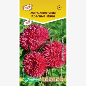 Астра Апполония Красные мячи/ Евросемена