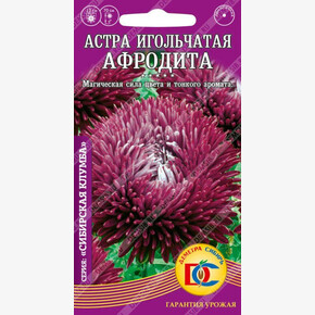 Астра Афродита игольчатая /0,2 гр Деметра/