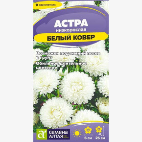 Астра Белый Ковер низкорослая/Семена Алтая/цп 0,1 гр.