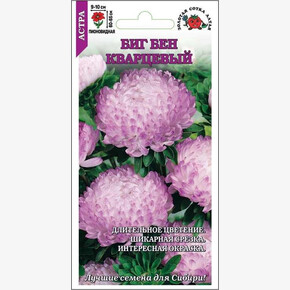 Астра Биг Бен кварцевый/ Сотка