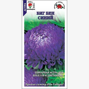 Астра Биг Бен синий/ Сотка