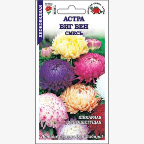 Астра Биг Бен смесь/ Сотка