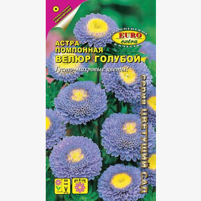 Астра Велюр голубой пампон./ Аэлита