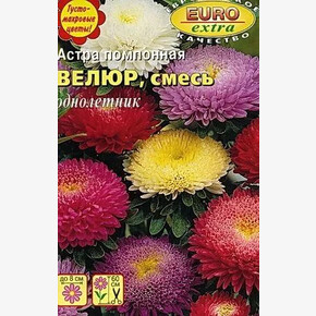 Астра Велюр помпонная смесь Аэлита