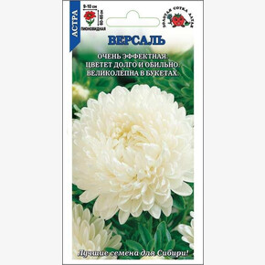 Астра Версаль белая /Сотка/ 0,2г/ пион. 65см, d-10см/*1500