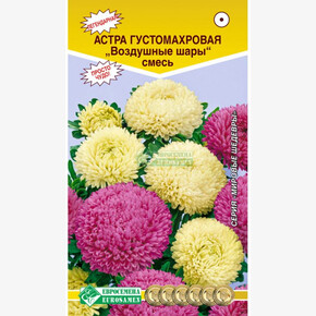 Астра Воздушные шары смесь/ Евросемена