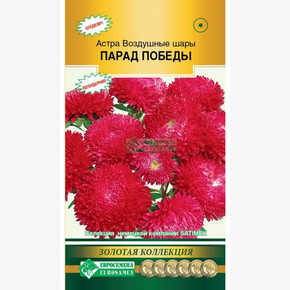 Астра Воздушный шар Парад Победы/ Евросемена