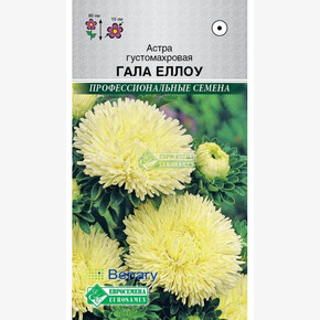 Астра Гала Елоу/ Евросемена