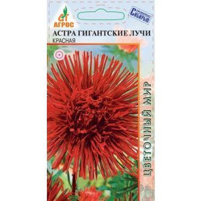 Астра гигант Лучи Красная 0.3г*, Нидерланды, одн./ Агрос