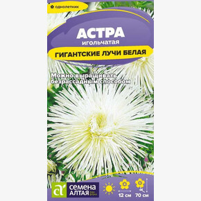 Астра Гигантские лучи Белая/ Семена Алтая