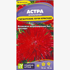 Астра Гигантские лучи Красная/ Семена Алтая 0,2 гр.