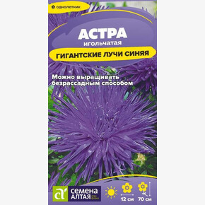 Астра Гигантские лучи Синяя/ Семена Алтая 0,2 гр.