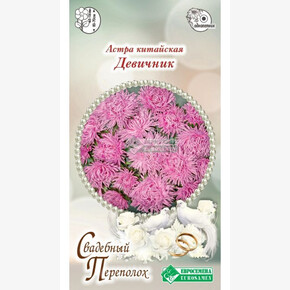 Астра ДЕВИЧНИК китайская 5 шт/ Евросемена