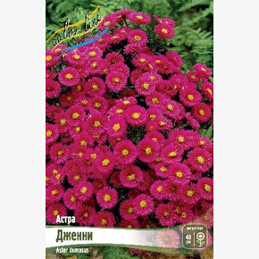 АСТРА ДЖЕННИ