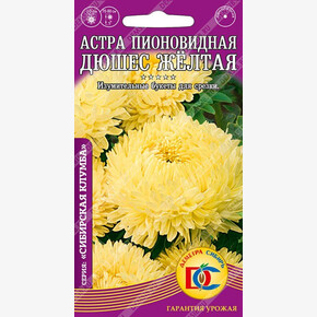 Астра Дюшес Желтая пионовидная /0,2 гр Дем Сиб/