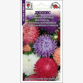 Астра Дюшес смесь /Сотка/ 0,2г/ h-80см, d-10см