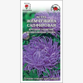 Астра Жемчужина Сапфировая/ Сотка
