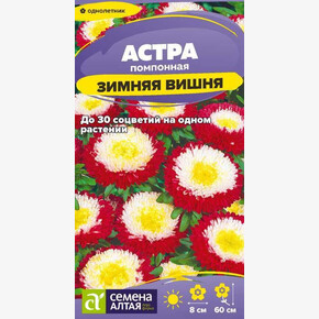 Астра Зимняя Вишня помпонная/Сем Алт/цп 0,2 гр.