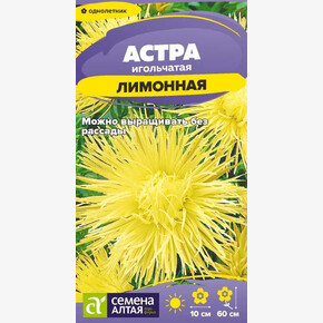 Астра Игольчатая Лимонная/Сем Алт/цп 0,2 гр.