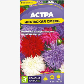 Астра Июльская Смесь окрасок/Сем Алт/цп 0,2 гр.