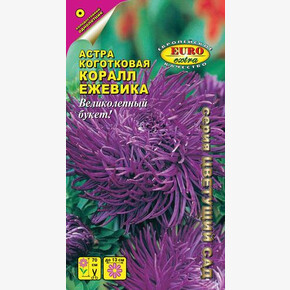 Астра Коралл Ежевика коготковая/ Аэлита