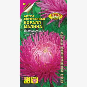 Астра Коралл Малина коготковая/ Аэлита