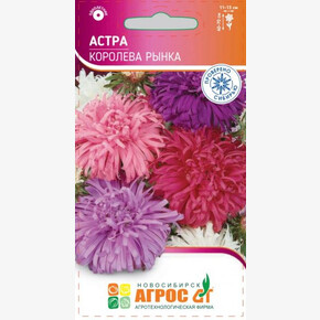 Астра Королева Рынка 0.3г / Агрос