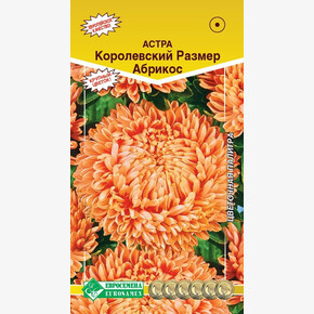 Астра КОРОЛЕВСКИЙ РАЗМЕР Абрикос 0,,1гр/ Евросемена