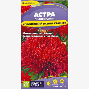 Астра Королевский размер Красная/Семена Алтая/цп 0,1 гр. 2029 / 32302
