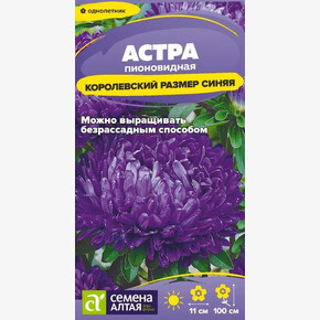 Астра Королевский размер Синяя/Семена Алтая/цп 0,1 гр.