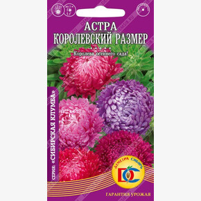 Астра Королевский Размер Смесь окрасок /0,2 гр Дем Сиб/