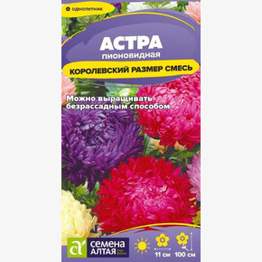 Астра Королевский размер Смесь/Семена Алтая/цп 0,1 гр.