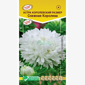 Астра Королевский размер Снежная королева/ Евросемена