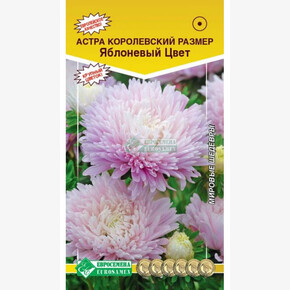 Астра КОРОЛЕВСКИЙ РАЗМЕР Яблоневый цвет (0,1 гр)/ Евросемена