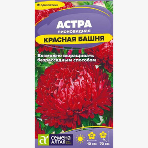 Астра Красная Башня пионовидная/Сем Алт/цп 0,2 гр.